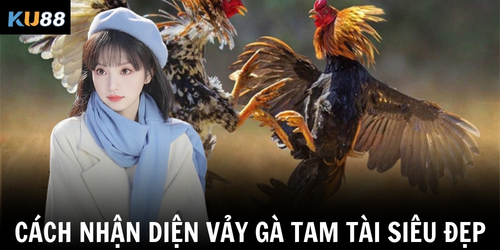 Cách nhận diện vảy gà Tam Tài siêu đẹp