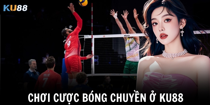 Chơi cược bóng chuyền ở Ku88