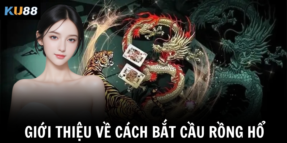 Giới thiệu về cách bắt cầu Rồng Hổ